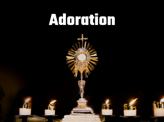 Adoration A Eucharistic Adoration centerpiece.