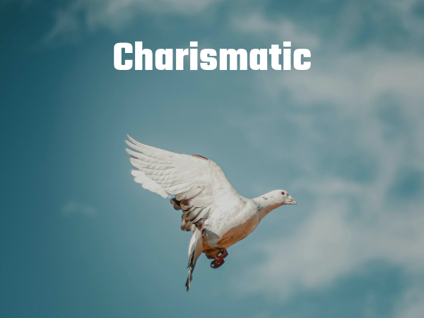 Charismatic A photo of a dove
